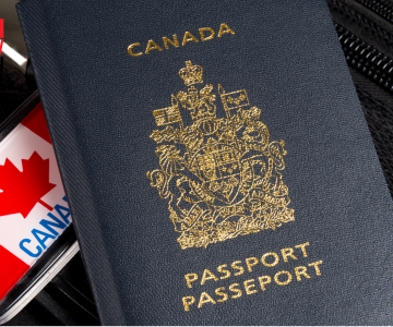 Best Immigration Consultant Mississauga (2026): Your Ultimate Guide to PR, Work Permit & Study Visas