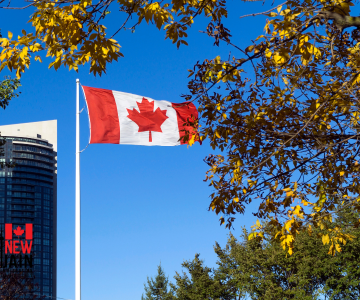 Express Entry Next Draw Prediction | Canada PR Consultant Brampton