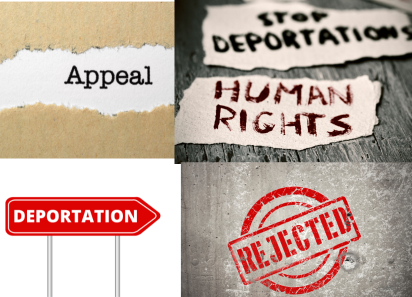Untitled design – 2026-08-07T192711.272 Appeal, deportation and rejection notices representing Rejection, Deportation and Appeals services