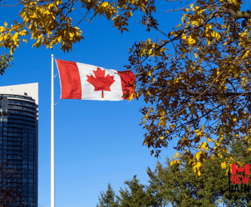Canada’s Work Permit Population Rises Despite 57% Drop in New Arrivals: Immigration Updates 2026